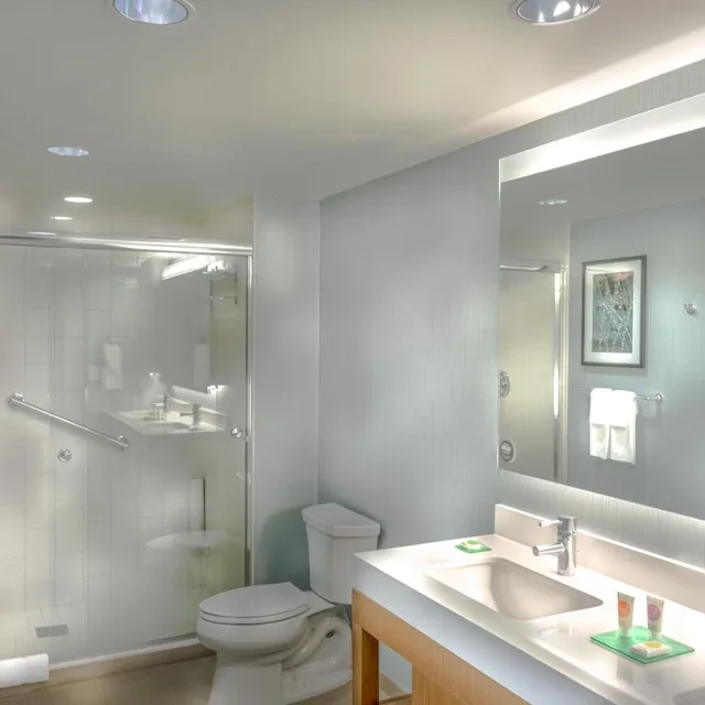 جناح بسرير كينج بغرفة نوم واحدة مع أريكة، HYATT PLACE WASHINGTON DC/NATIONAL MALL 2/3