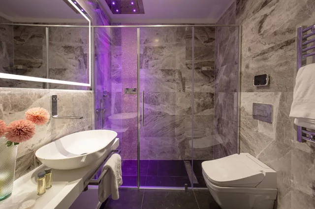 غرفة ديلوكس بسرير كينج، Hotel la Place Roma 2/2