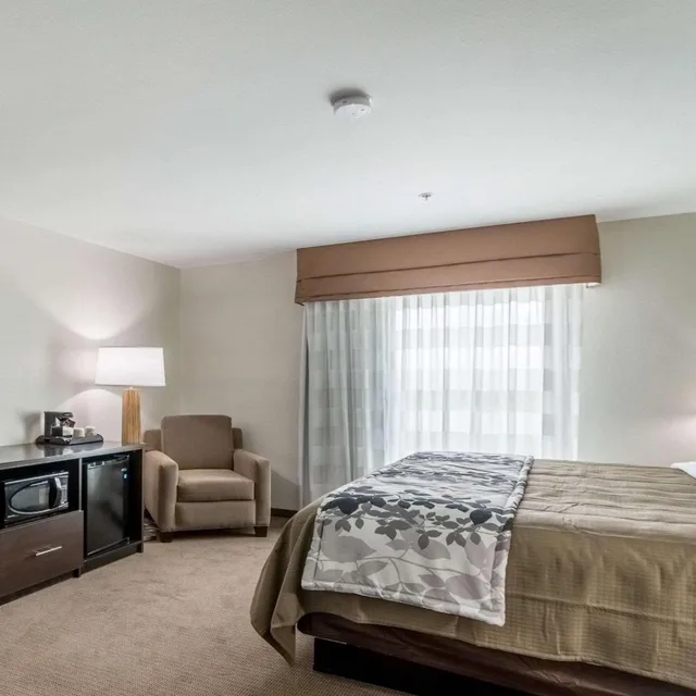 جناح بسرير كينج مع أريكة، Sleep Inn and Suites College Station Area 1/5