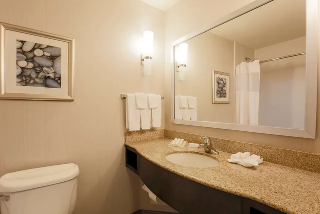 Evolution, King Bed، Hilton Garden Inn Nanuet 2/2