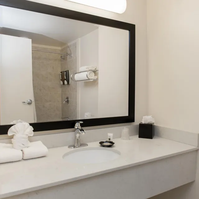 غرفة سوبيريور بسريرين كوين، Chicago South Loop Hotel 3/4