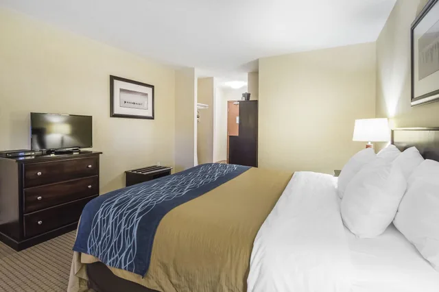 غرفة قياسية بسرير كينج، Comfort Inn And Suites Edson Yellowhead Highway 7/8