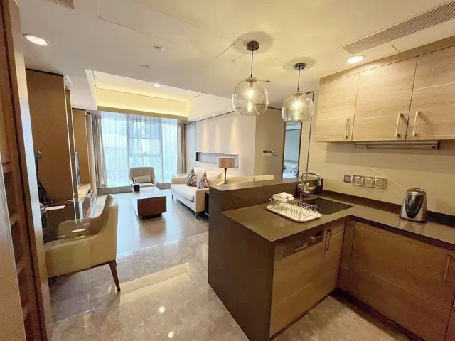 شقة ديلوكس بسرير كينج بإطلالة على المدينة بغرفة نوم واحدة بمطبخ، Ascott IFC Guangzhou 9/10