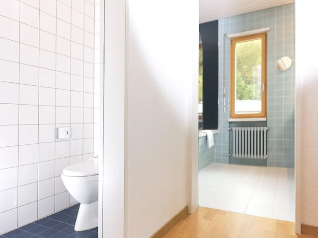 Mountain, Suite, Apartment, 1 Single and 3 Double Beds, Balcony، Beausite Park Hotel 7/7