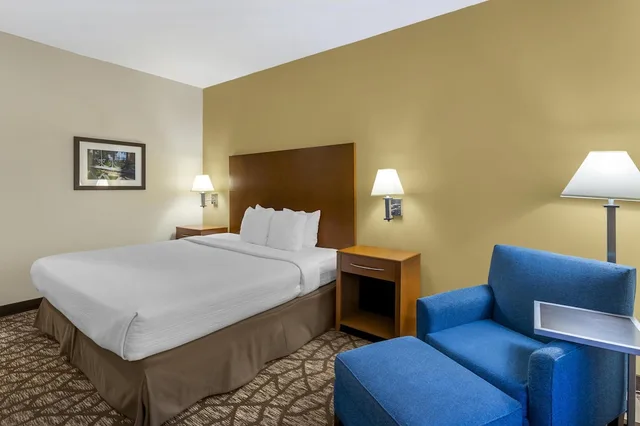 غرفة قياسية بسرير كينج بحوض استحمام لذوي الإعاقة، Best Western Plus Richmond Hill Inn 2/8