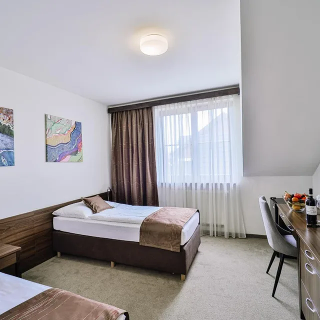 Standard, Double or Twin Bed, Penzión Drak 2/10