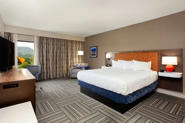 Study, King Bed، HAMPTON INN KINGSPORT 1/2
