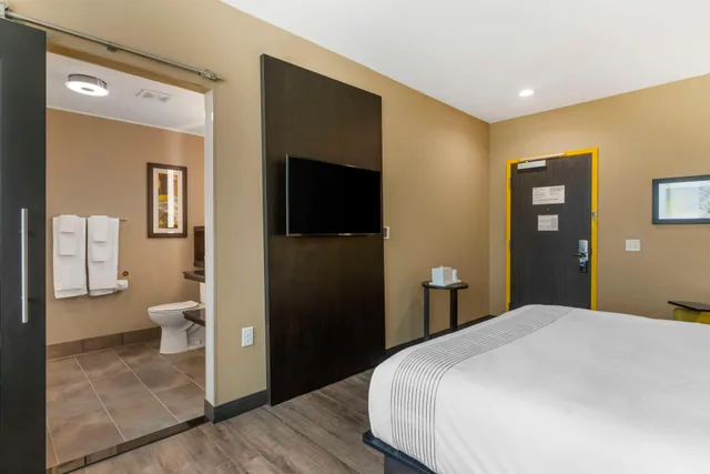 غرفة سيغنتشر مفردة بسرير كينج، GLo Best Western Pooler Savannah Airport Hotel 3/4