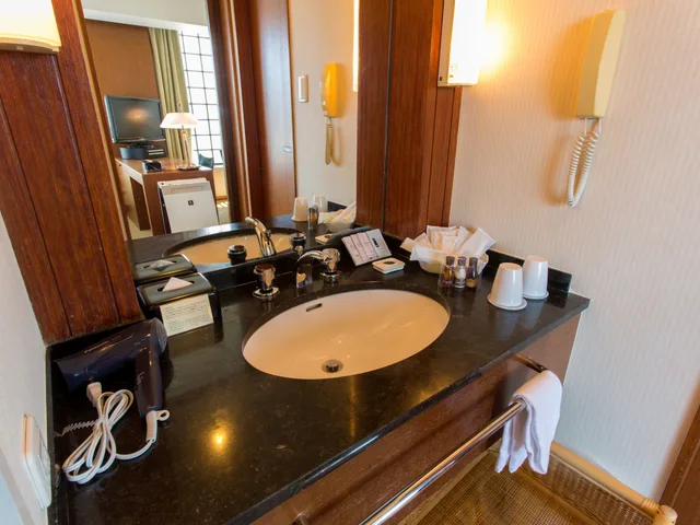 Deluxe, Twin Beds, Palace Side, Top Floor، Grand Arc Hanzomon 10/10
