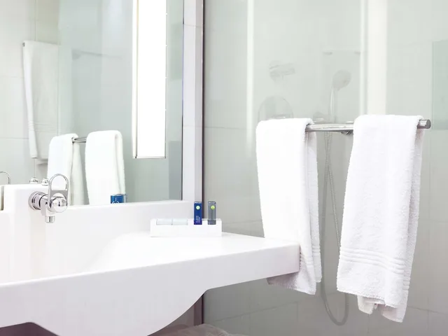 غرفة بزنس سوبيريور بسرير مزدوج، NOVOTEL LAUSANNE BUSSIGNY 9/9
