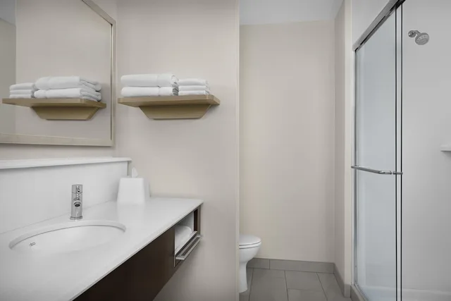 استوديو بسرير كينج مع أريكة لذوي الإعاقة، Hampton Inn Suites Charlotte Ballantyne Nc 6/7