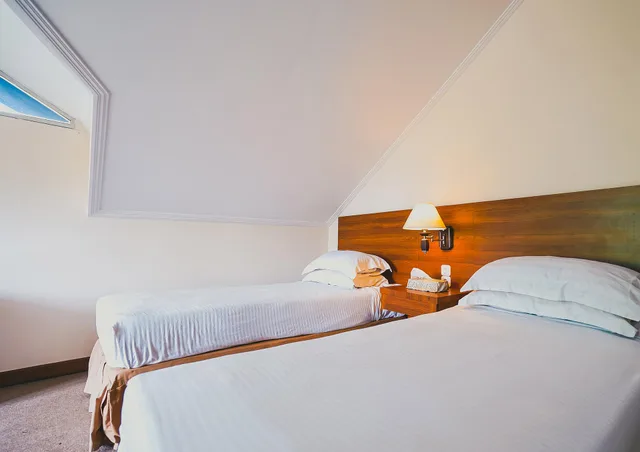غرفة ديلوكس بسريرين منفصلين، The Priangan Boutique Hotel 1/1
