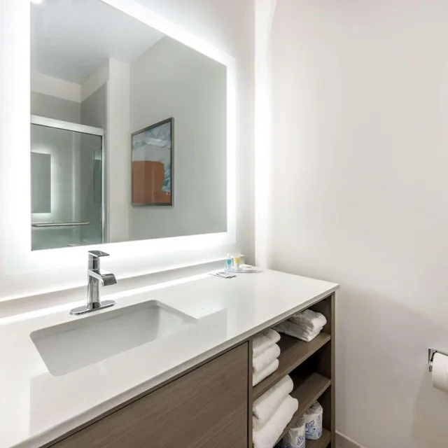غرفة بسرير كينج بحوض استحمام لذوي الإعاقة، Comfort Inn & Suites Nashville TN 4/4