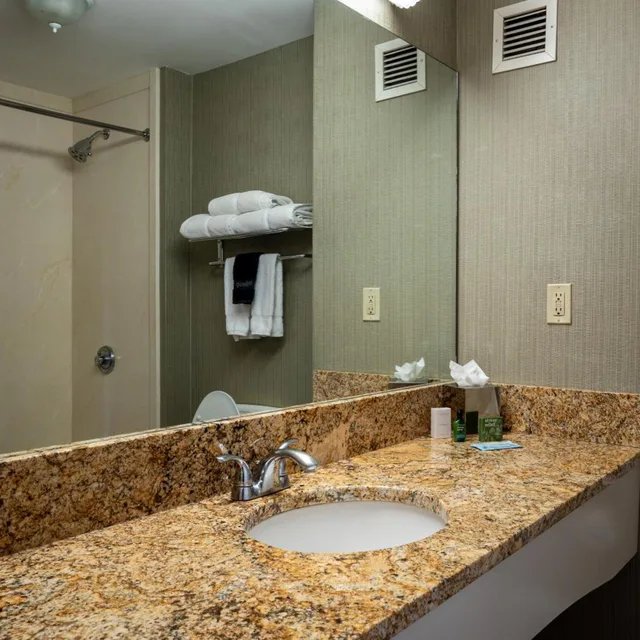 جناح بسرير كوين، D. Hotel and Suites 4/4