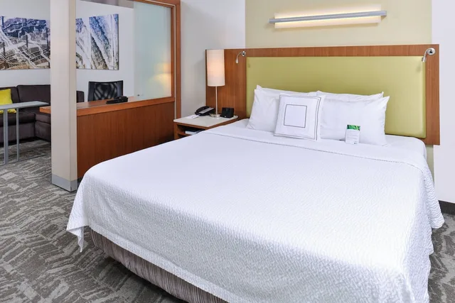 جناح بسرير كينج مع سرير سحّاب إضافي، SpringHill Suites by Marriott Detroit Metro Airport Romulus 1/10