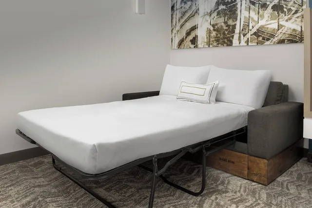 Suite, King Bed, Trundle Bed, Accessible, SpringHill Suites by Marriott Atlanta Perimeter Center 1/3