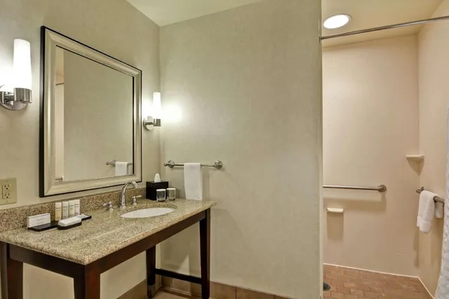 جناح بسرير كينج بغرفة نوم واحدة مع أريكة لذوي الإعاقة، Embassy Suites By Hilton Savannah Airport 1/3