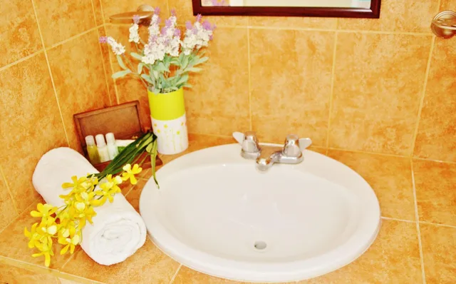 1 Bedroom, Deluxe, Suite, Partial Ocean View, Kitchen, Corales Suites 6/8