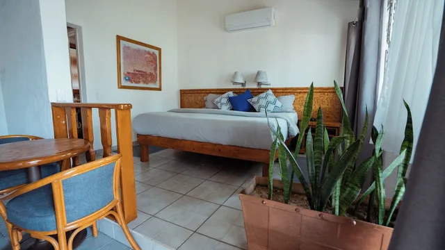 Premium, King Bed, Hammock Wing، Buena Vista Oceanfront & Hot Springs Resort 2/4