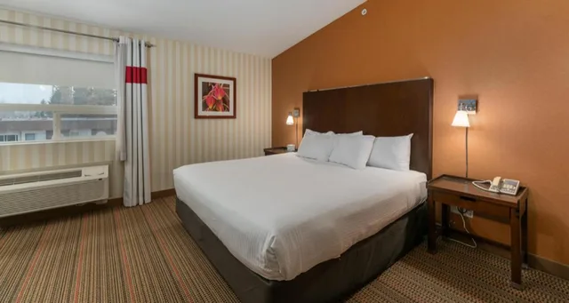 جناح بسرير كينج بجاكوزي بمطبخ، Four Points By Sheraton Prince George 1/4