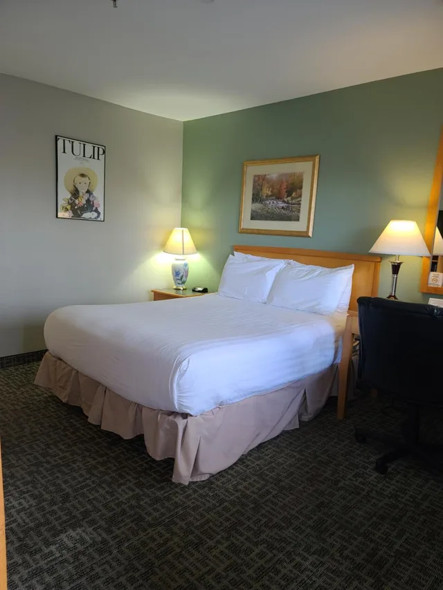 غرفة بسرير كوين، Tulip Inn 6/10