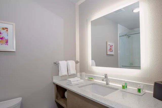 غرفة بريميوم بسرير كينج مع أريكة لذوي الإعاقة، Holiday Inn Tallahassee E Capitol - Univ 3/4