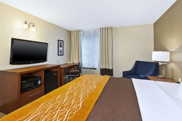 Room, King Bed, Comfort Inn & Suites Taylor - Detroit 10/10