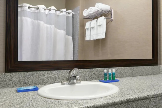 جناح بسرير كينج مع أريكة لذوي الإعاقة، Comfort Suites Boise West Meridian 6/8