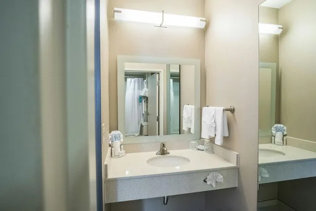 جناح بسرير كينج مع سرير سحّاب إضافي مع أريكة لذوي الإعاقة، Springhill Suites Winston Salem Hanes Mall 4/5