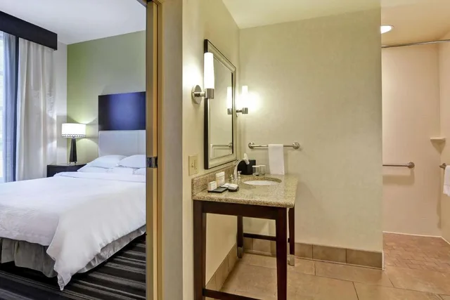 جناح بسرير كينج بغرفة نوم واحدة مع أريكة لذوي الإعاقة، Embassy Suites By Hilton Savannah Airport 2/3