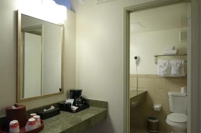 جناح بسريرين كينج لذوي الإعاقة، Ramada by Wyndham Sacramento 2/2