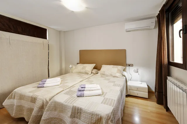 شقة بسرير كوين وسريرين منفصلين بغرفتي نوم مع أريكة، Apartamentos Turisticos Centro 1/7
