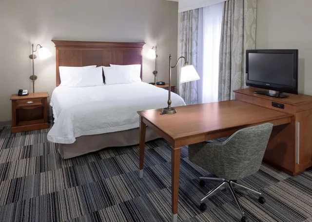 Studio, Suite, King Bed, Sofa, Hampton Inn & Suites Colorado Springs/I-25 South 1/3