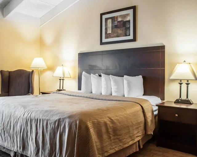Room, King Bed, Quality Inn Buffalo Airport 2/2