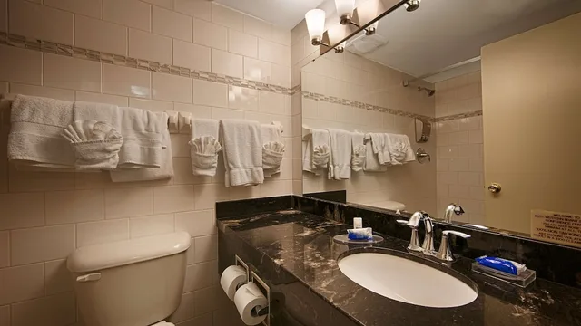 غرفة قياسية بسريرين مزدوجين بشرفة، Best Western Brantford Hotel Conference Centre 9/9