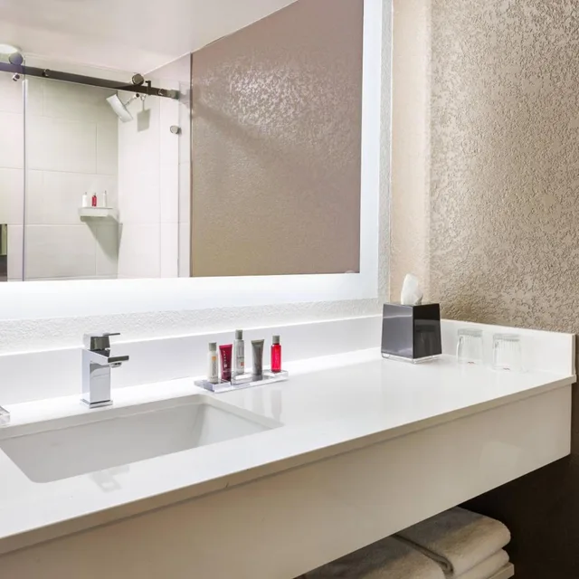 غرفة بسريرين كوين، Orlando Airport Marriott Lakeside 11/14