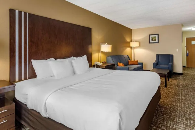 Standard, King Bed, Comfort Inn Paducah I-24 1/6