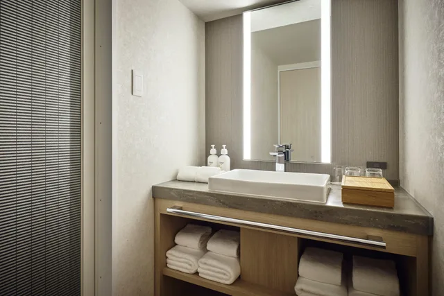 جناح بغرفة نوم واحدة، Holiday Inn Kyoto Gojo by IHG 2/2