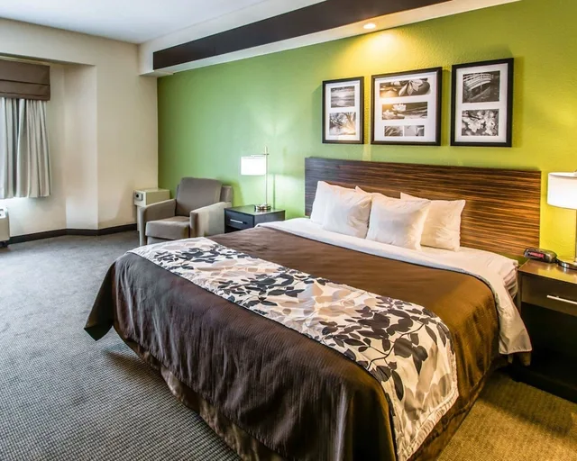 جناح مع أريكة، Sleep Inn and Suites Orlando International Airport 1/3