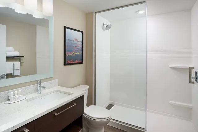 Studio, King Bed, Sofa, Accessible, TownePlace Suites by Marriott Leesburg 3/3