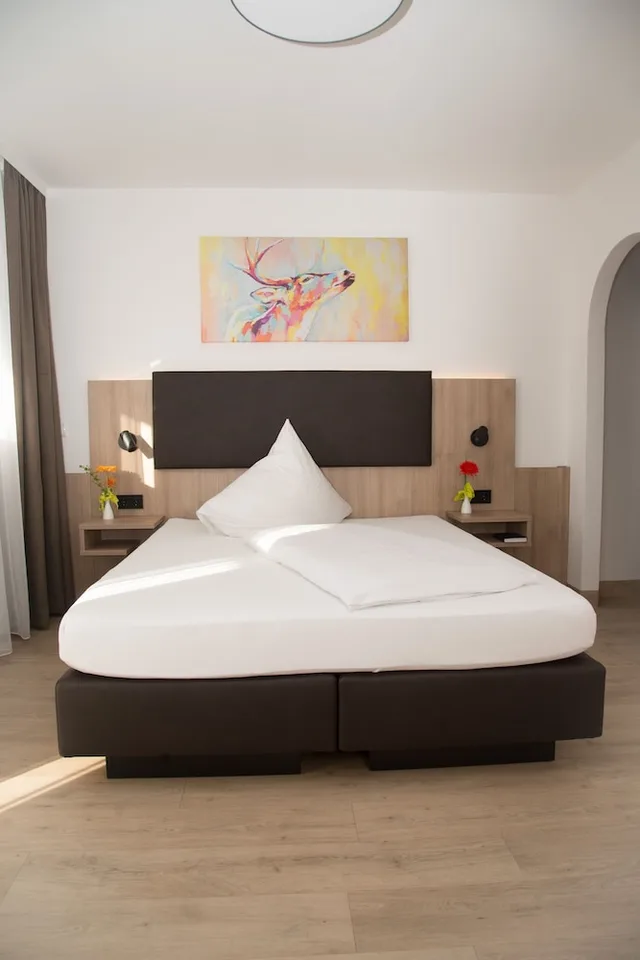 غرفة مفردة، Hotel Alter Hof 11/16