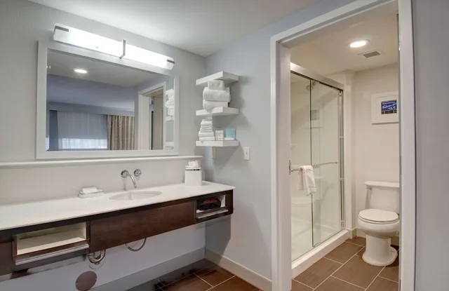 استوديو بسرير كينج بمطبخ صغير، Hampton Inn And Suites Springfield Downtown 2/2