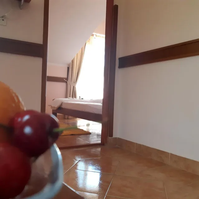 جناح بسرير مزدوج بإطلالة على البحر بشرفة، Garni Hotel Koral 4/4