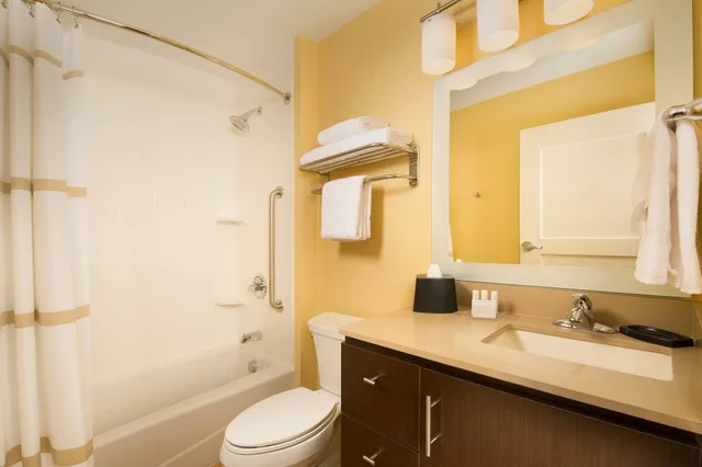 Studio, King Bed, TownePlace Suites by Marriott Dallas DFW Airport North/Grapevine 3/3