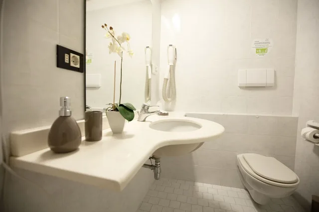 1 Bedroom, Panoramic, Triple, 1 Double and 1 Single Bed, Balcony, Hotel Maestri 5/7