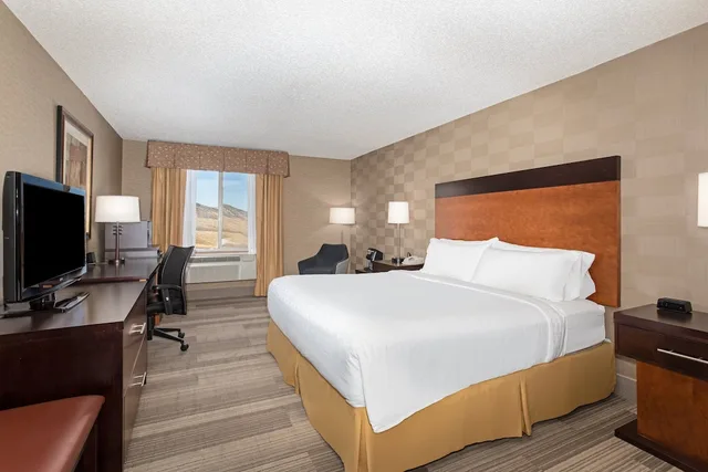 غرفة قياسية بسرير كينج مع أريكة، Holiday Inn Express Hotel And Suites Denver Sw Littleton 1/2