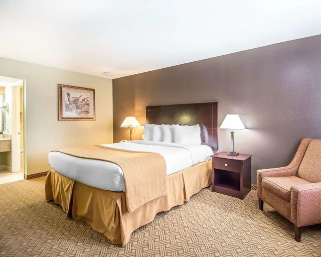 Upgrade, Efficiency, King Bed, Accessible، Quality Inn Suites By the Parks 3/3
