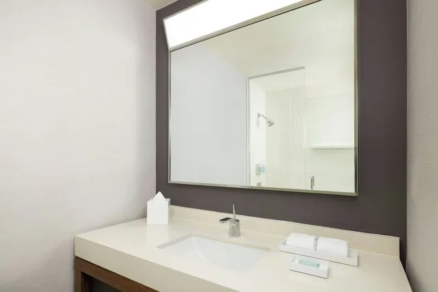 Deluxe, King Bed, Sofa, Courtyard New York Manhattan/Midtown East 9/10