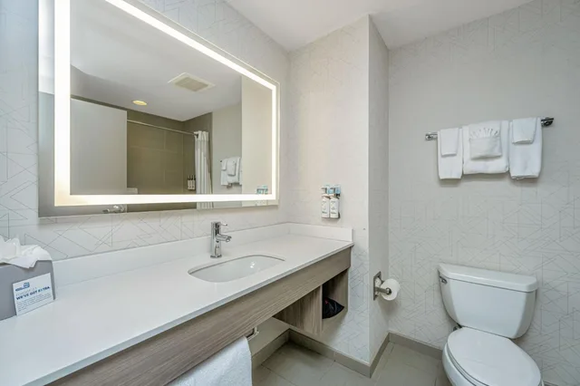 جناح بسرير كينج مع أريكة، Holiday Inn Express Hotel And Suites Charleston Arpt Conv Ctr Area 3/4
