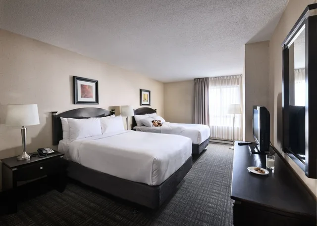 جناح بغرفتي نوم، Les Suites Hotel Ottawa 1/2